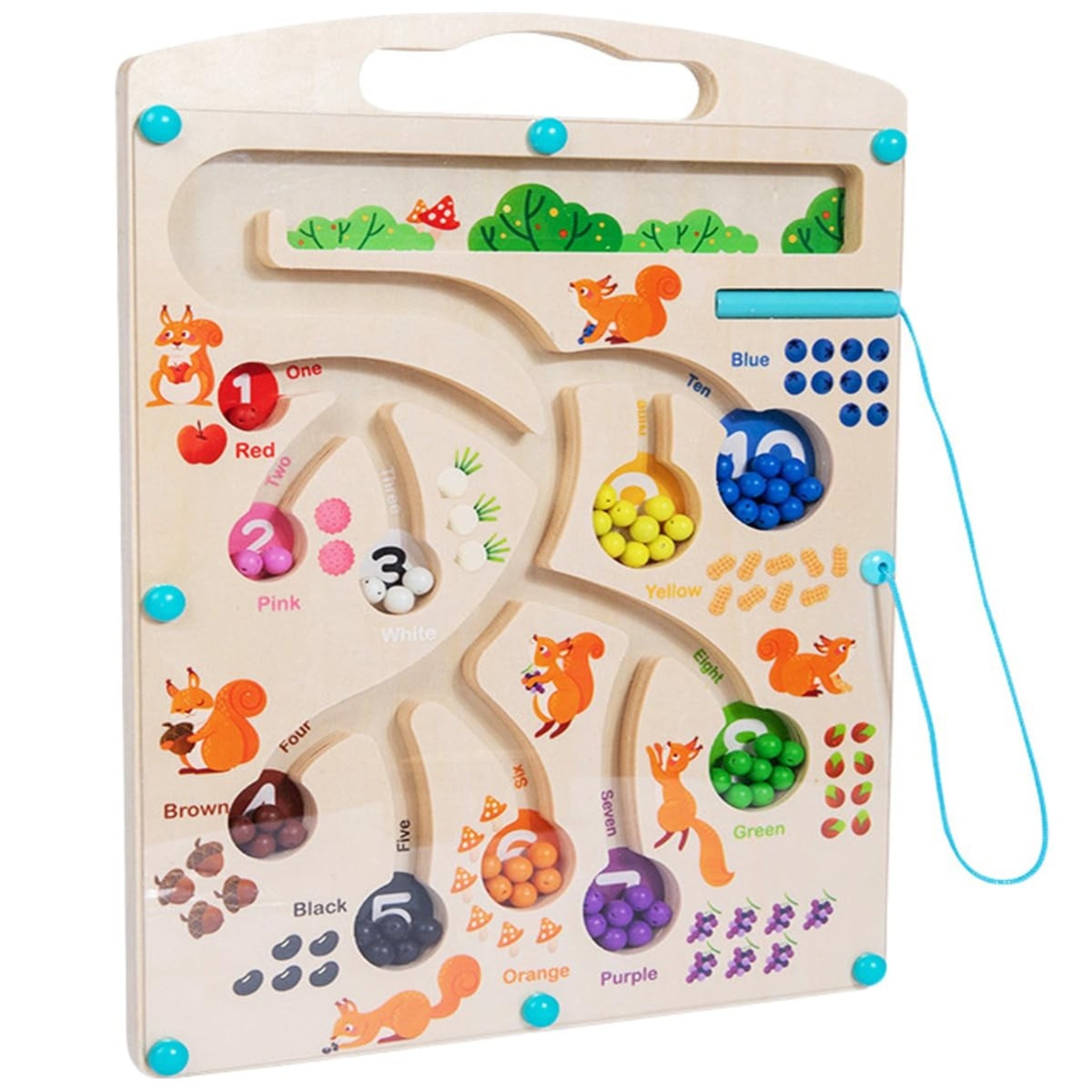 Magnetic Squirrel Puzzle