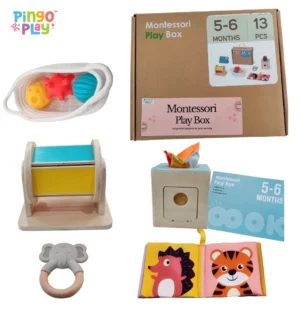 Premium Montessori Play Box Set (5-12 Months)